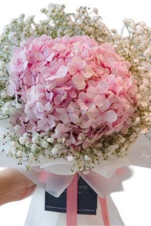 F18 – Featured Product