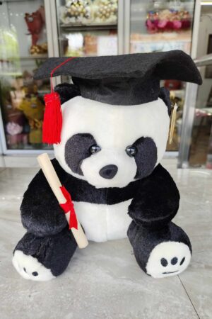 Graduation Bear Stuffed Toy 6