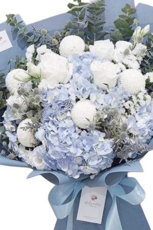 F17 – Featured Product