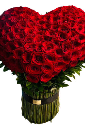 F20 – Featured Product