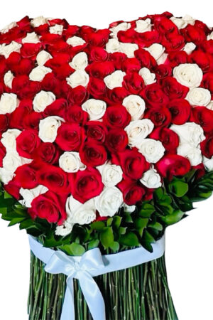 F22 – Featured Product