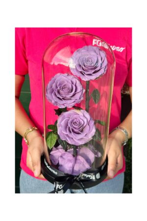 Preserved Rose Dome 12