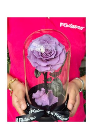 Preserved Rose Dome 6