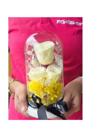 Preserved Rose Dome 13