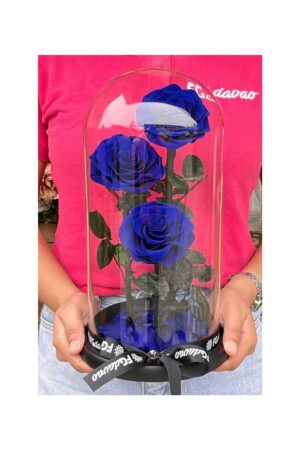 Preserved Rose Dome 10