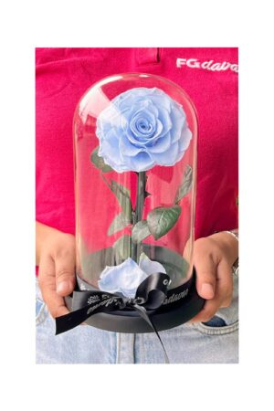 Preserved Rose Dome 3