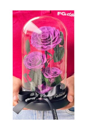 Preserved Rose Dome 8