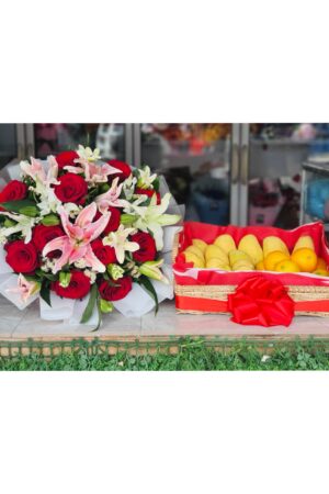 Gift Set 31