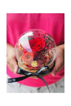 Preserved Rose Dome 7