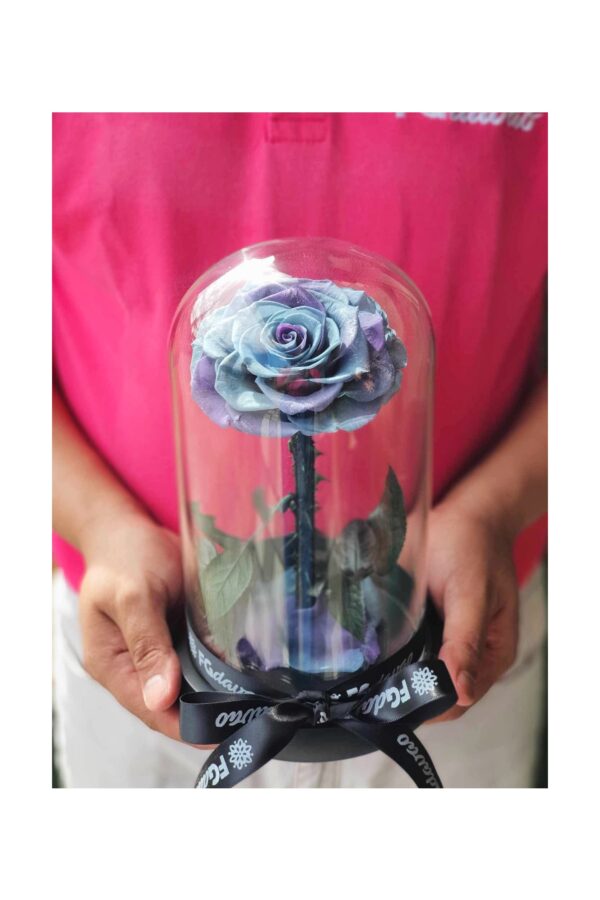 Preserved Rose Dome 6