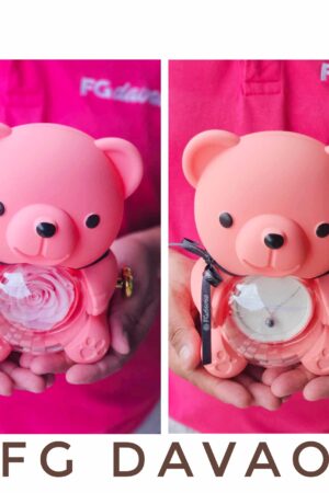 Preserved Rose and Necklace 3