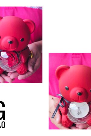 Preserved Rose and Necklace 2