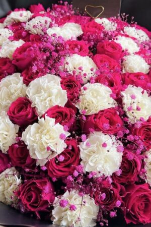 F28 – Featured Product