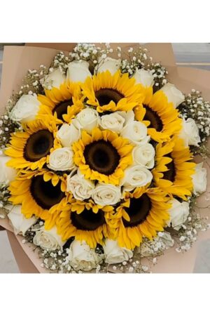 F29 – Featured Product