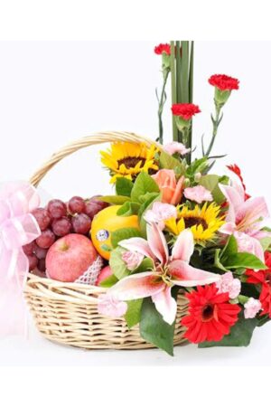 Fruit Basket 15