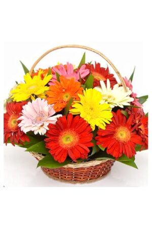 Flower Basket 13