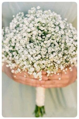 Bridal Bouquet 16 - Gypsophila Bridal Bouquet