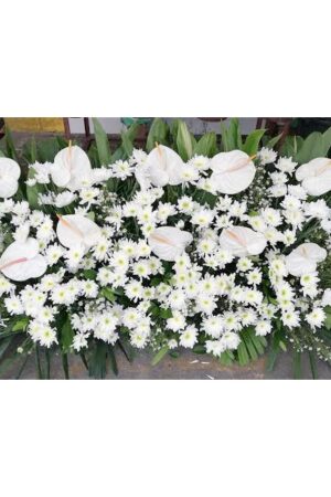 Sympathy and Funeral Flowers 39