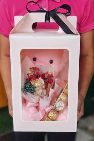 Stuffed Toy in A Box 1