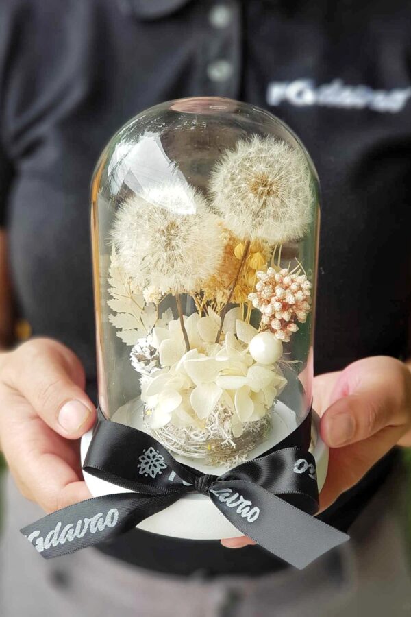 Preserved Dandelion 2